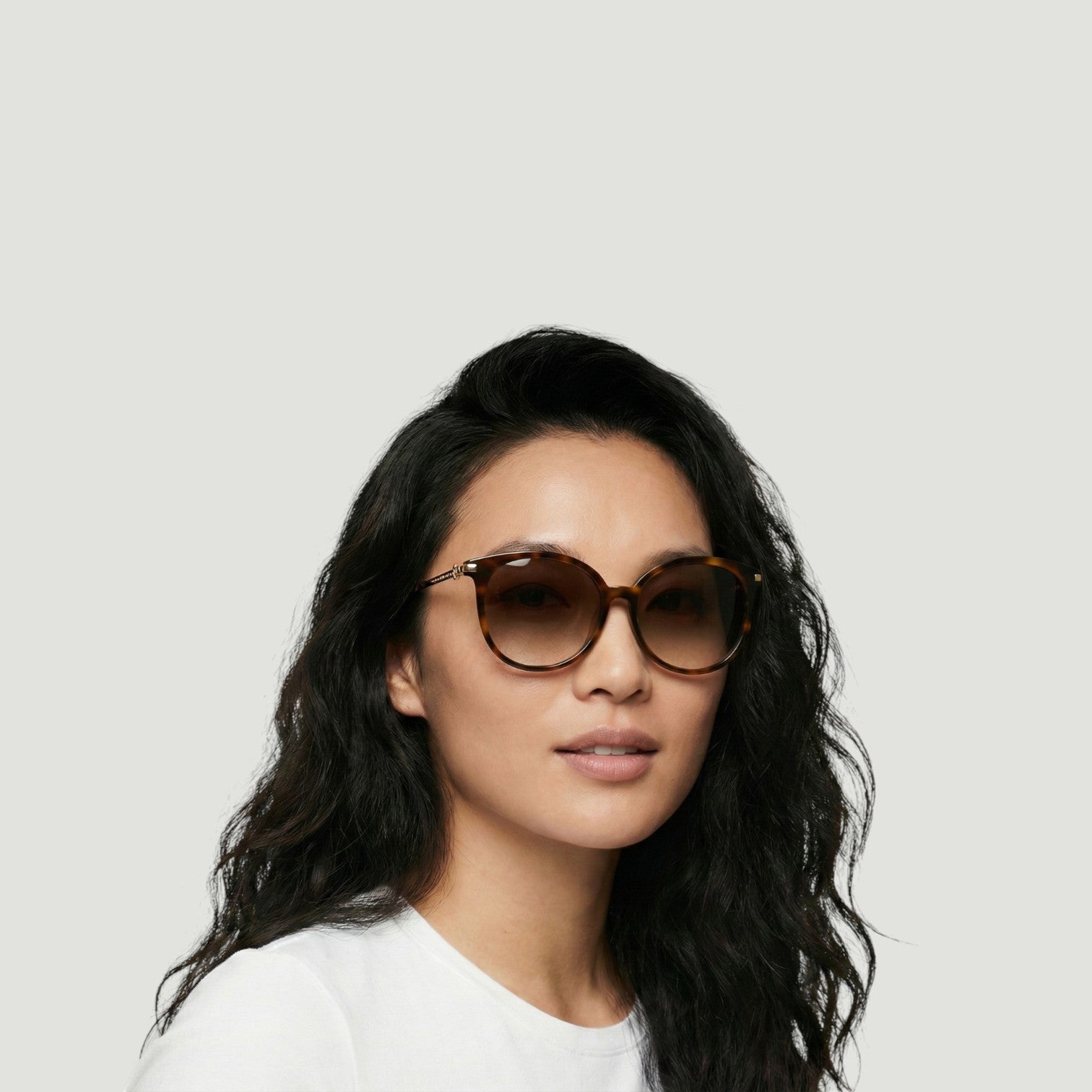 Alexander McQueen Sunglasses AM0135SA-002