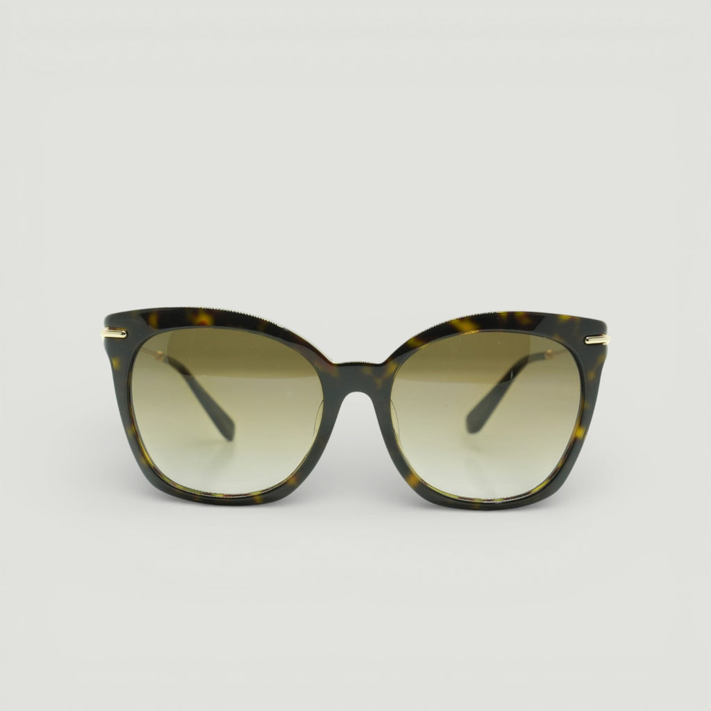 Alexander McQueen Sunglasses AMQ4284/F/S-ANT/CC