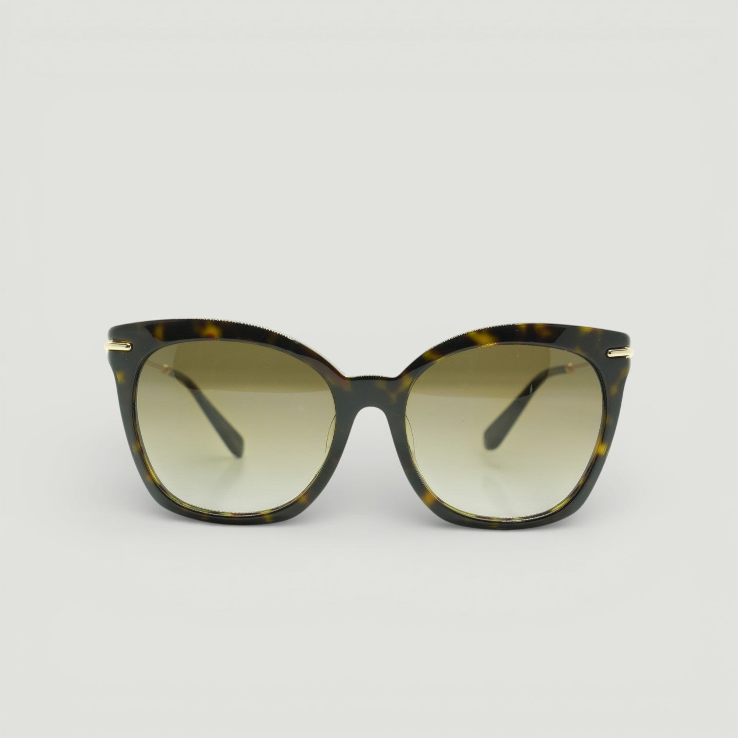 Alexander McQueen Sunglasses AMQ4284/F/S-ANT/CC