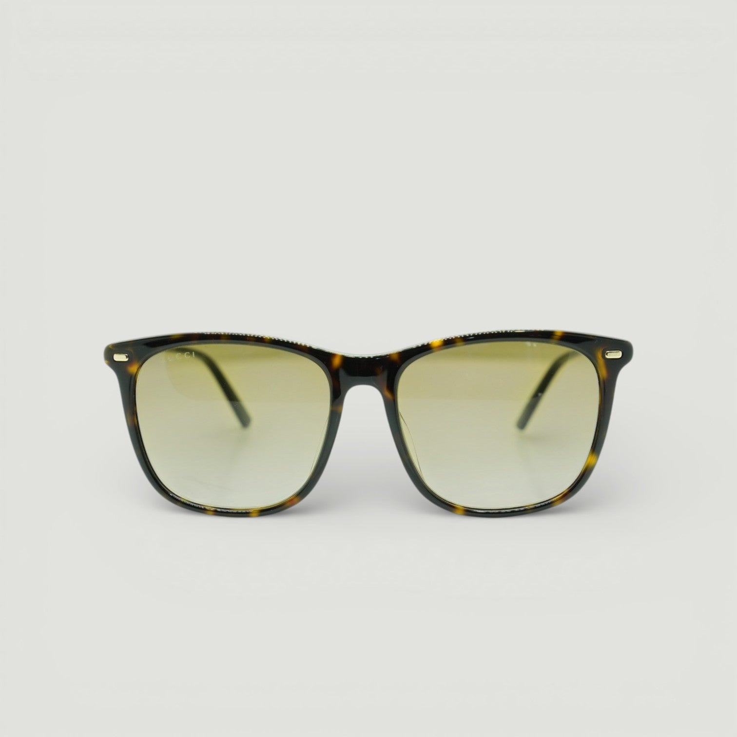 Gucci Sunglasses GG0518SA-002